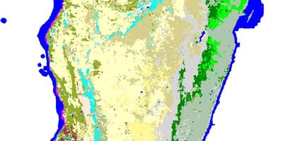 வரைபடம் மடகாஸ்கர் vegetation